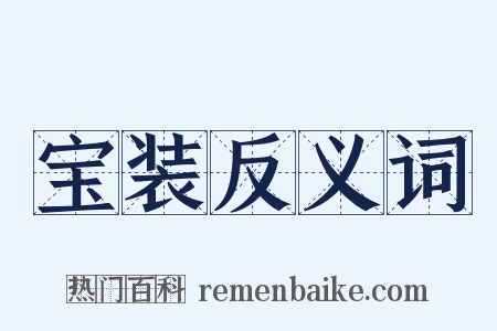 宝装反义词是什么意思的图片